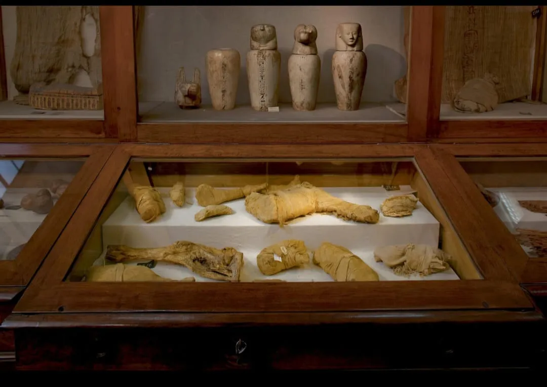 Mummification Museum tour -Luxor Luxor tour /IMG-20260701-WA0086.jpg